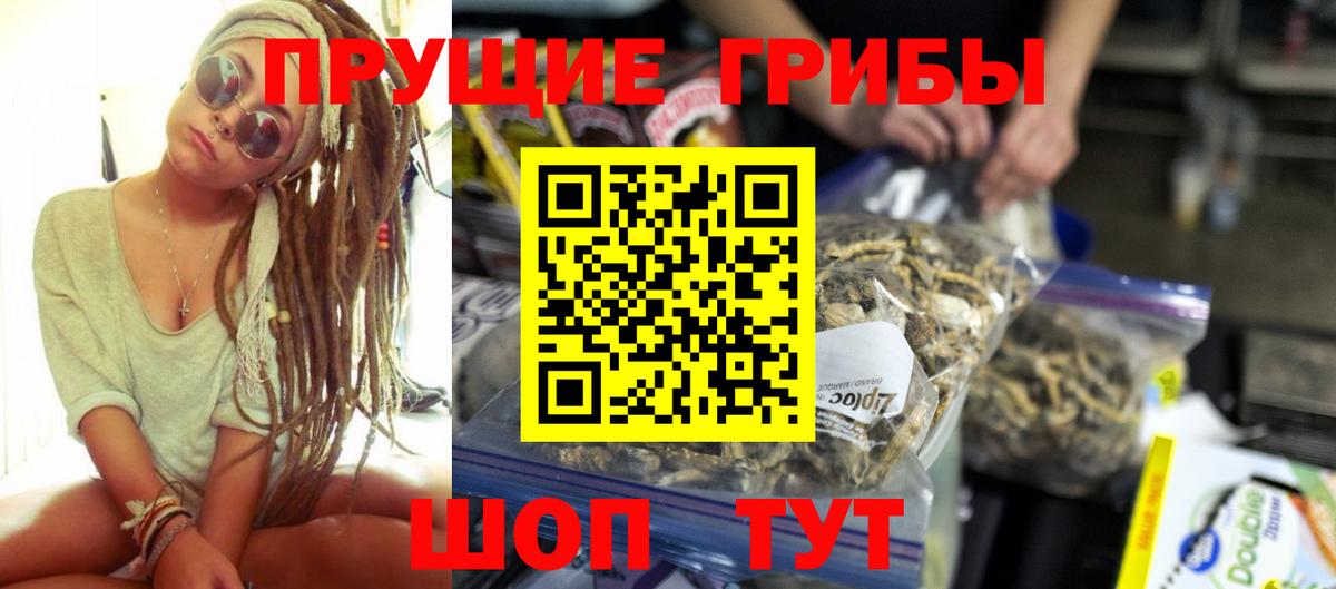 Псилоцибиновые грибы мухоморы  Псилоцибиновые грибы Psilocybine cubensis  Удомля  Вход с VPN 